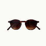 AMON SUNGLASSES~TURTOISE