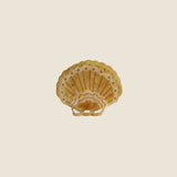 SCALLOP SEASHELL CLAW BEIGE HAIR CLIP