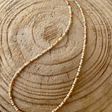 SINGLE ROW NECKLACE - SHELL
