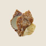 TULIP CONCH SHELL COMPACT MIRROR SAND