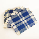 STRAW PLACEMATS * SET OF 6'~BLUE